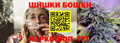 спиды Гай