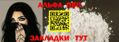 спиды Гай